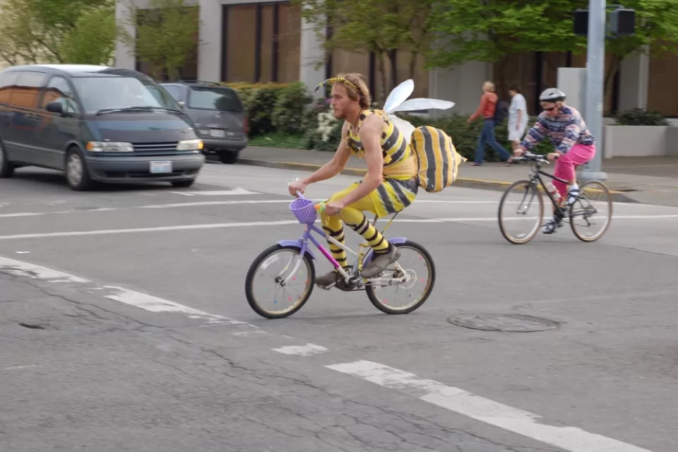 Bumblebee Bike